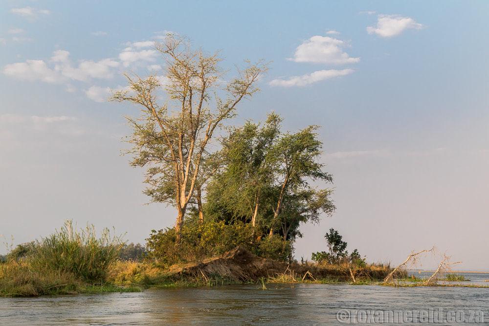 Remote river scenes on the Greater Mana Expedition at Sapi and Mana Pools Zimbabwe