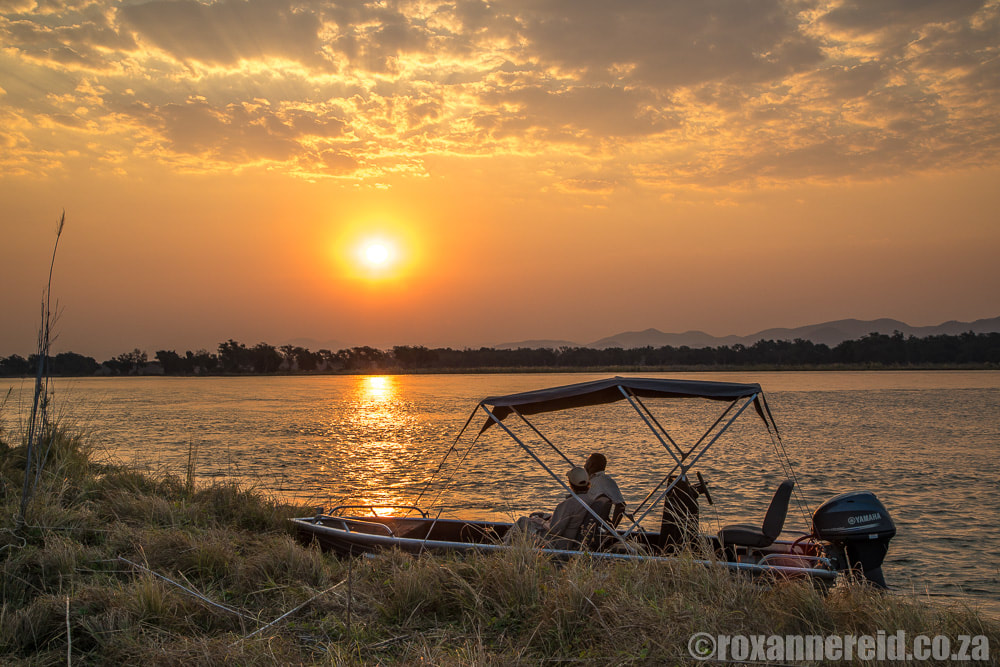 Motor boat on the Zambezi, Mana Pools Zimbabwe