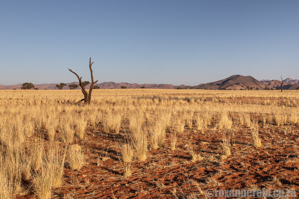 Desert landscapes to include in your Namibia travel plans