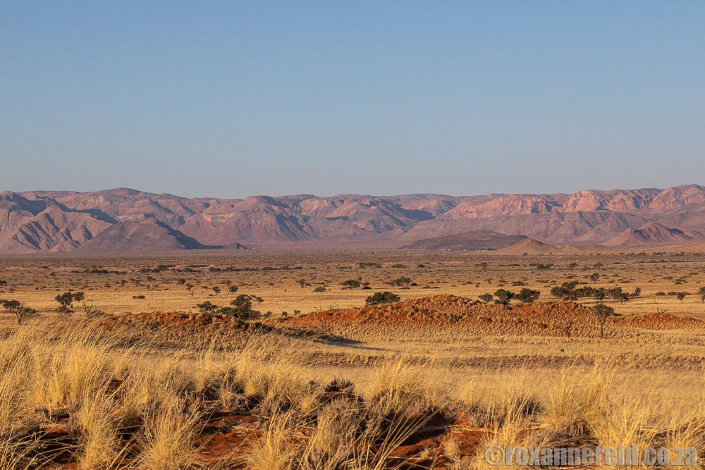 Desert scenery in Gondwana Namib Park, Namibia