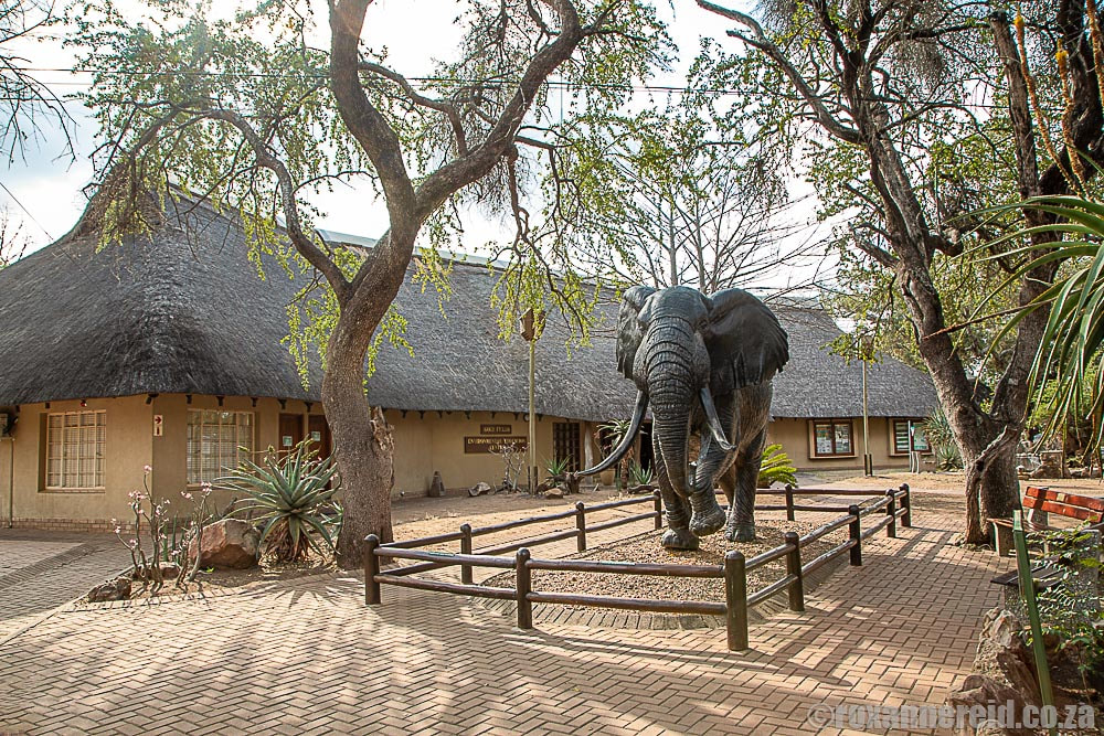 Letaba Elephant Hall, Letaba rest camp, Kruger National Park