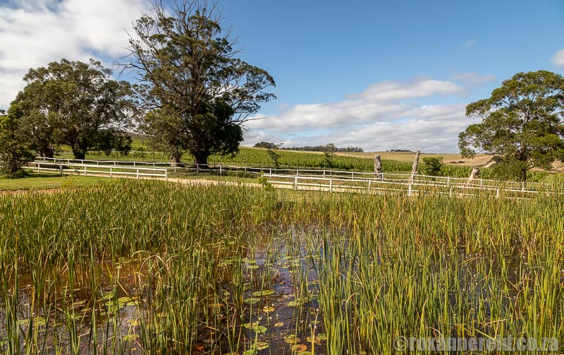 Pond at Stanford Valley Guest Farm, Overberg