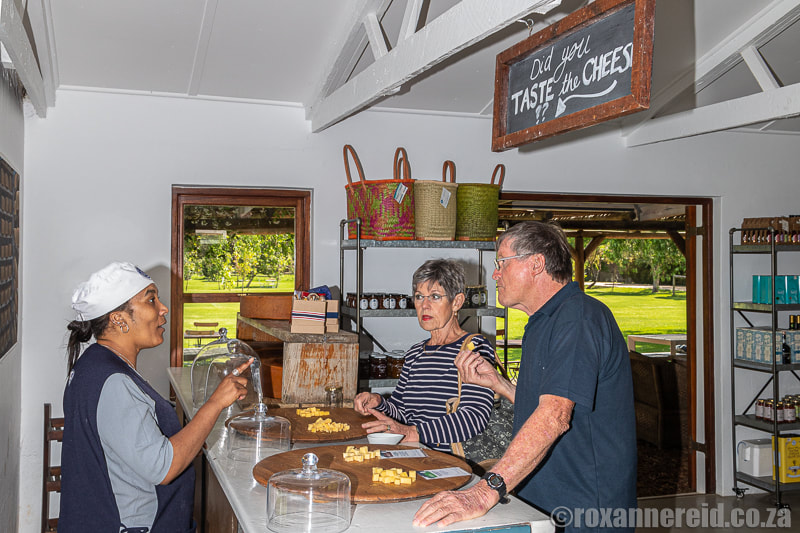 Cheese tasting and picnics at Klein River Cheese in Stanford