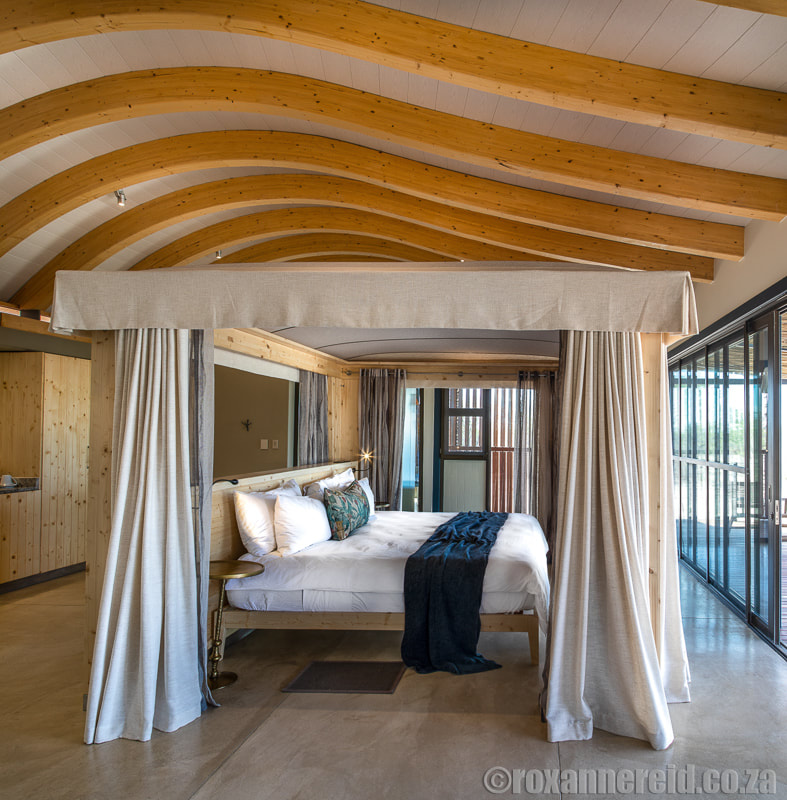 Bedroom at Anderssons at Ongava Game Reserve