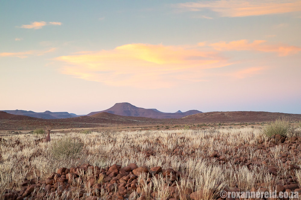 Landscape near Palmwag, Namibia