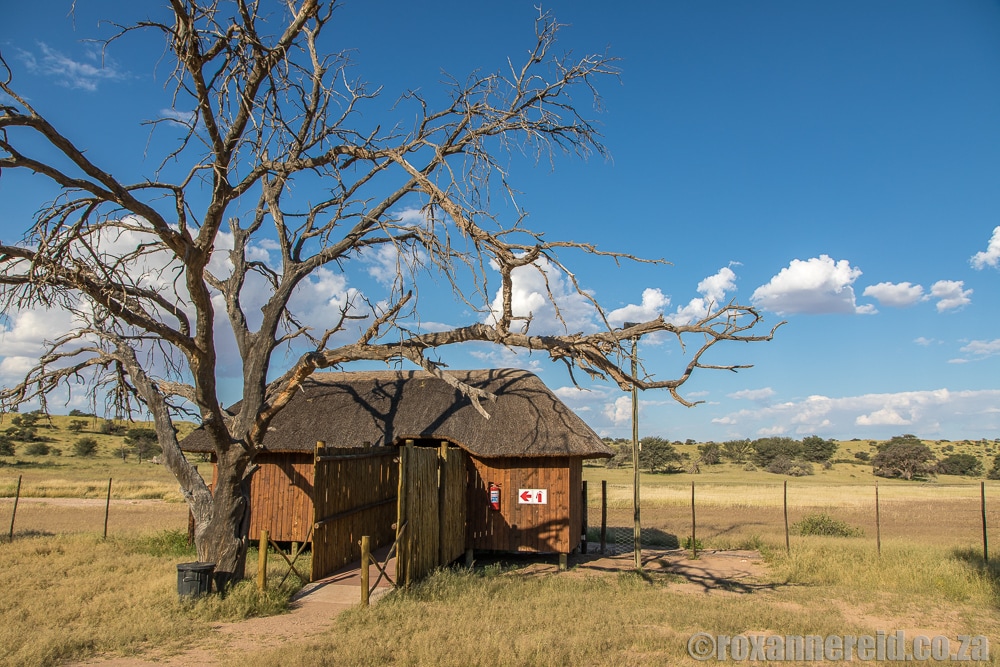 Mata Mata hide, Kgalagadi Transfrontier Park, Kalahari, Southern Africa