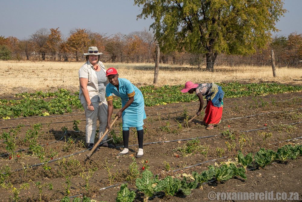 Sustainable community projects, Victoria Falls Zimbabwe