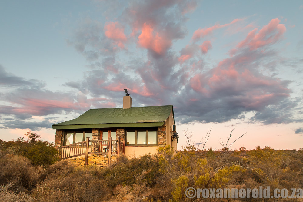 Skilpad Camp chalet, Namaqua National Park, Namaqualand, South Africa