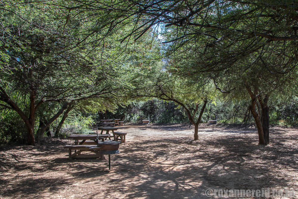 Doornhoek picnic site, Karoo National Park, South Africa