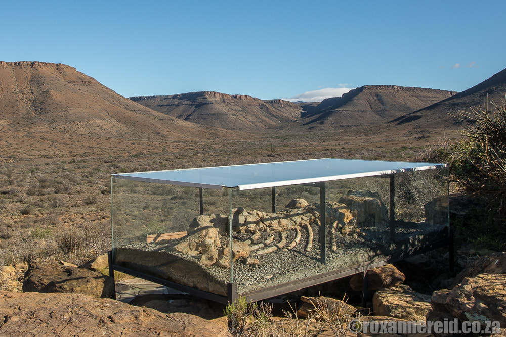 Fossil Trail, Karoo National Park, South Africa