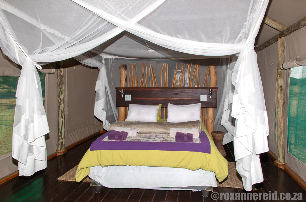 Namibia accommodation: tents at Chobe River Camp
