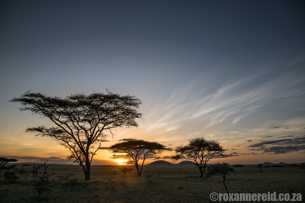 Sunset, ol Donyo Lodge in Kenya’s Chyulu Hills