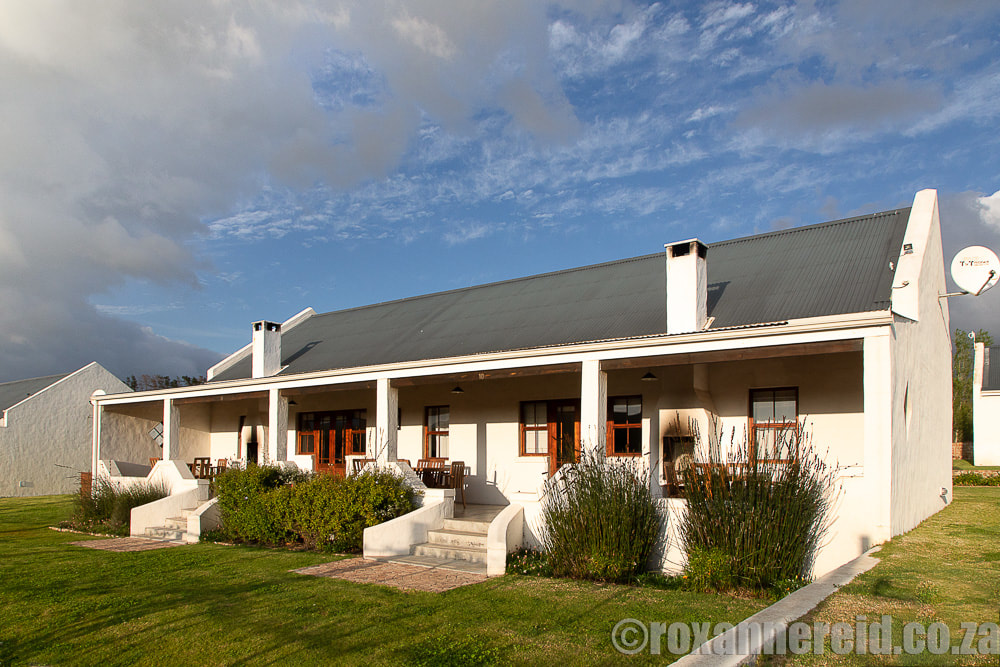 Botrivier accommodation: Endless Vineyards Boutique Lodge