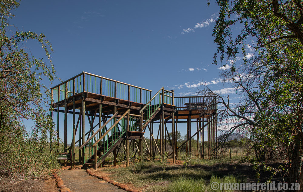 Viewing platform a Nqweba Campsite, Camdeboo National Park