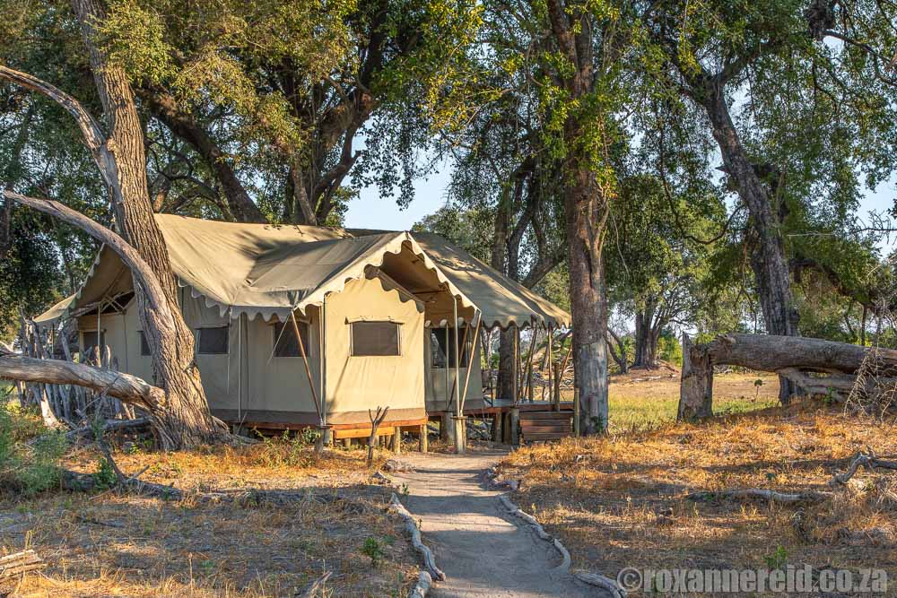 Tent at Great Plains Conservation's Duba Explorers Camp