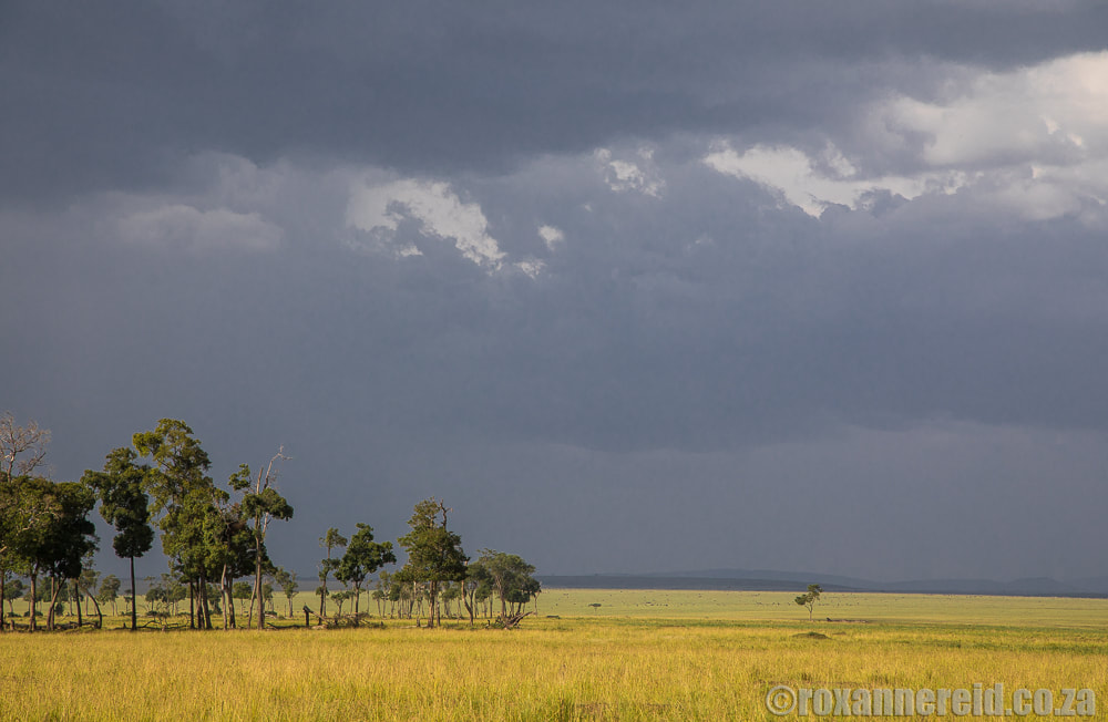 Dark skies, Little Governors Camp, Maasai Mara, Kenya