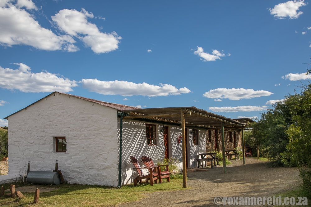 Ganora, Karoo guest farm, South Africa