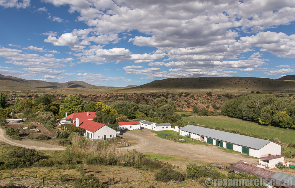 Ganora Guest Farm, Nieu Bethesda, Eastern Cape