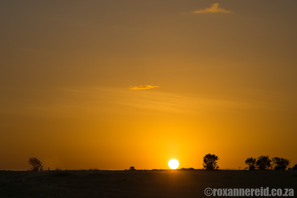 Sunset, Maasai Mara, Kenya