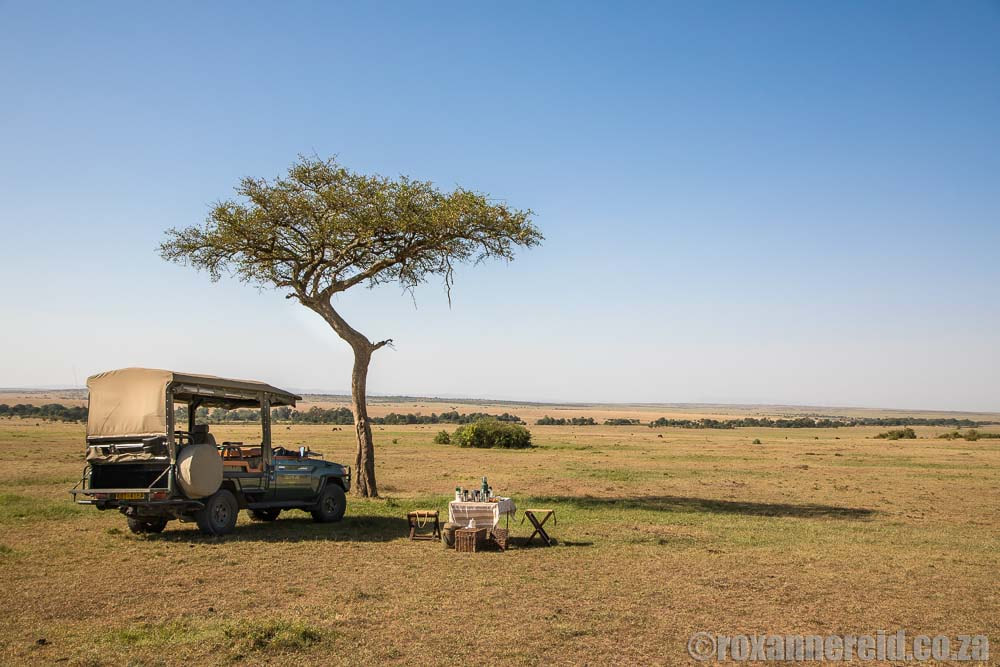 Kenya safari: Maasai Mara safari