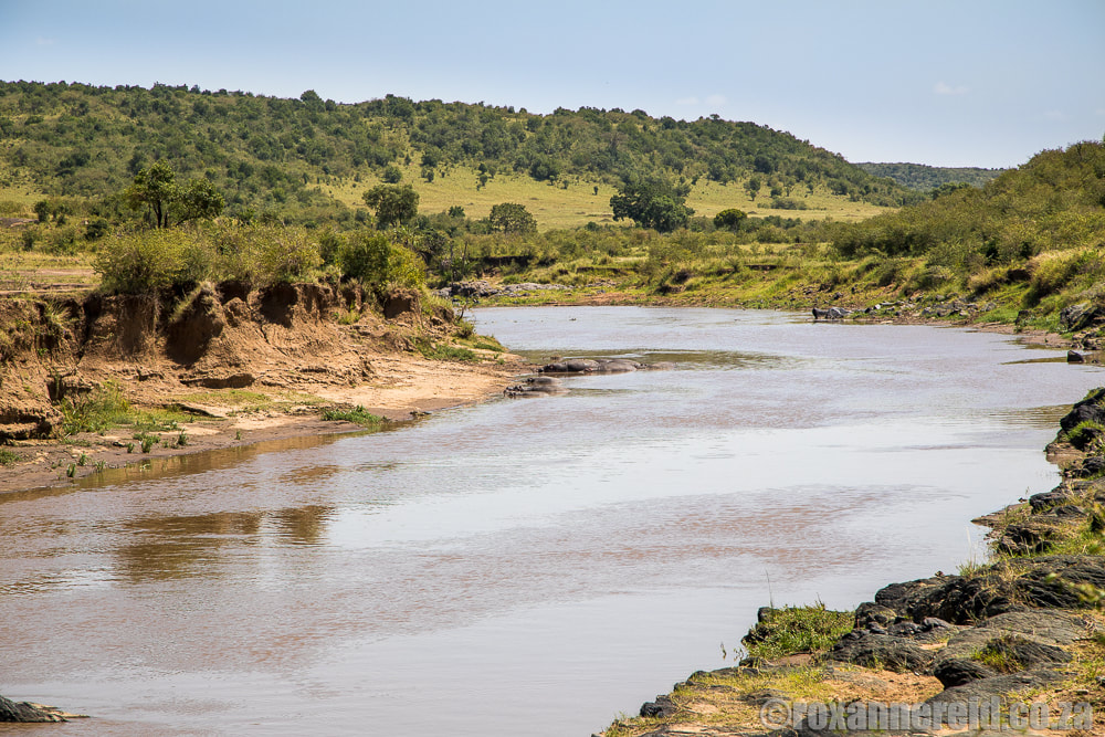 River crossing point in Kenya's Maasai Mara