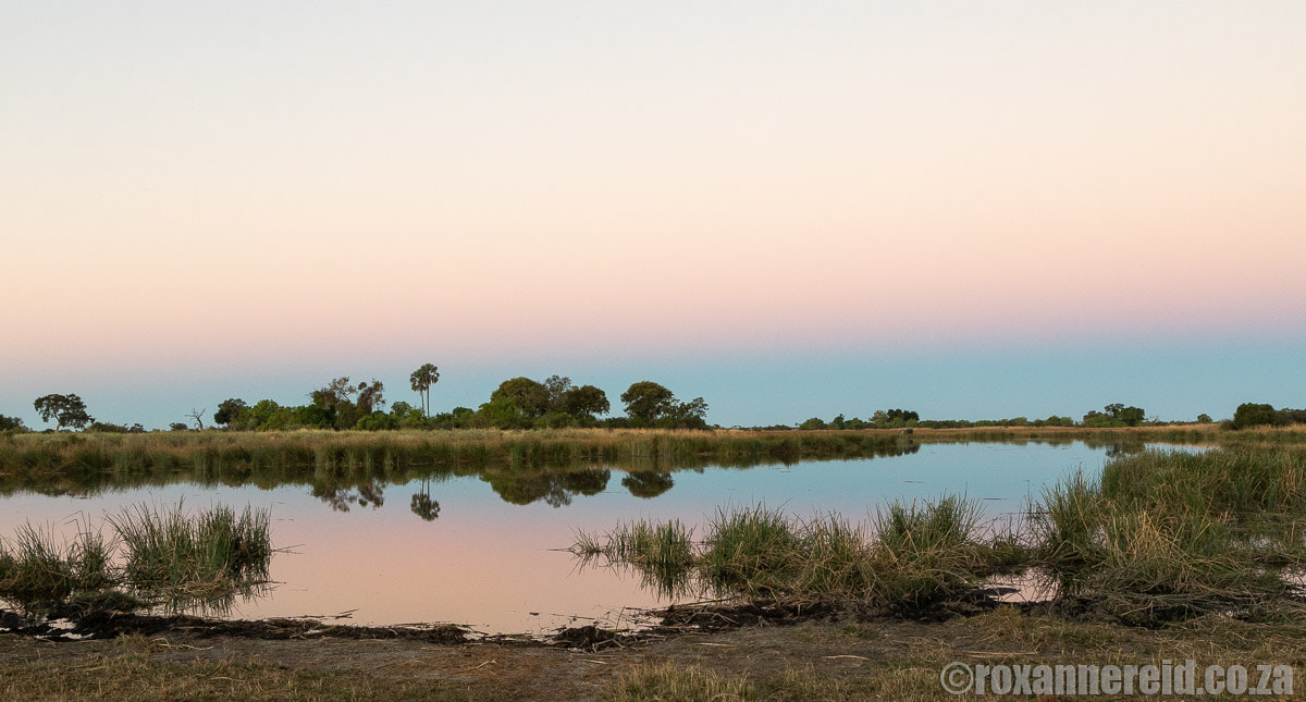 Sunset over the water in the Linyanti, Botswana