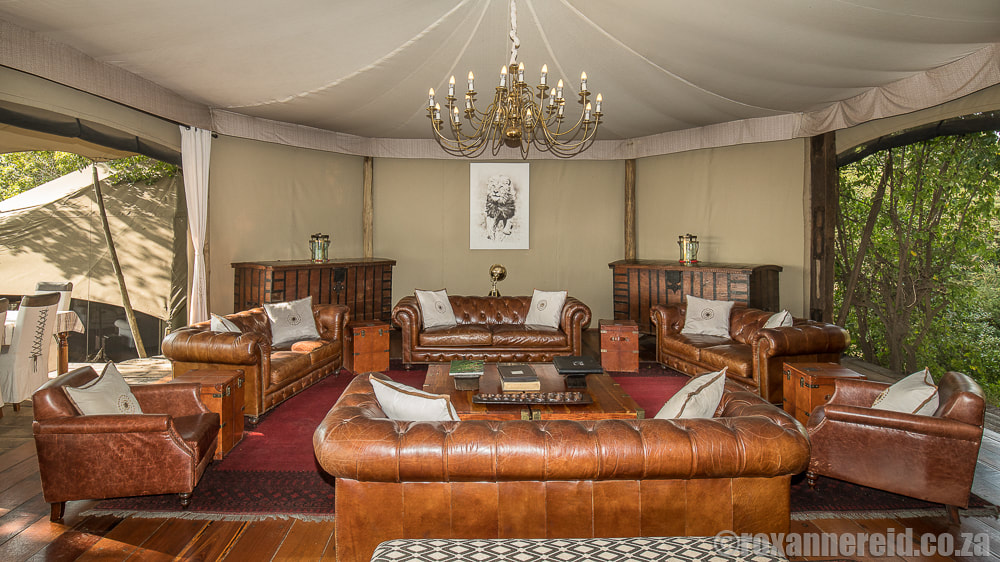 Lounge, Mara Plains Camp, Maasai Mara, Kenya