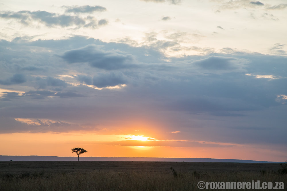 Sunset, Maasai Mara, Kenya