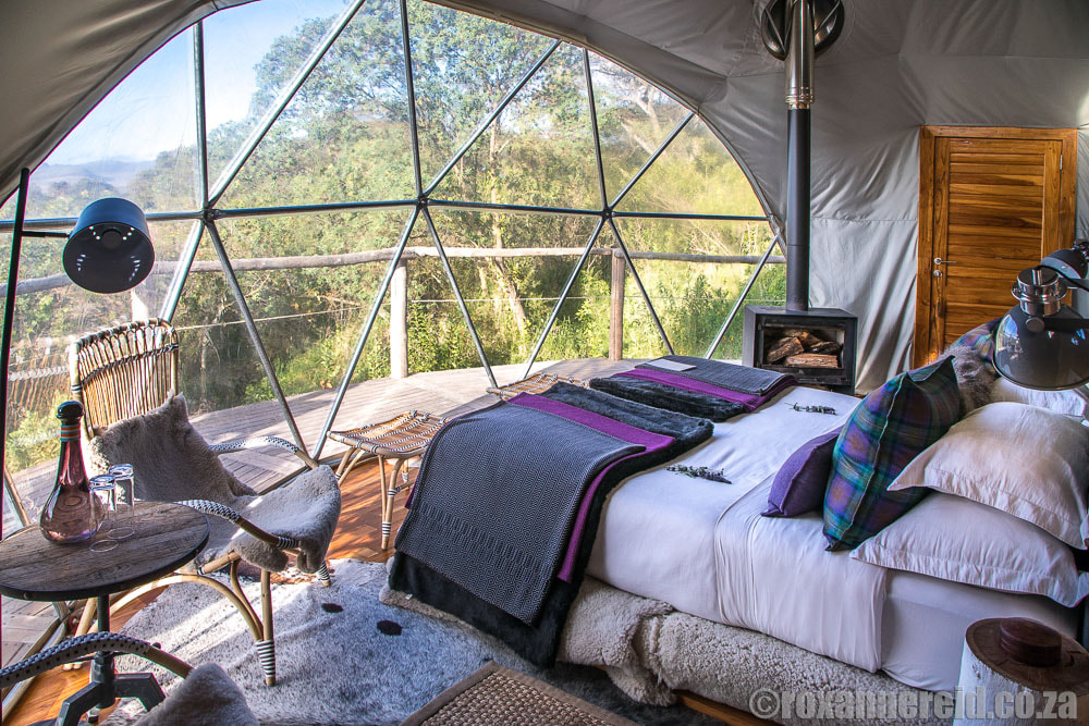 Tanzania honeymoon: Ngorongoro Crater