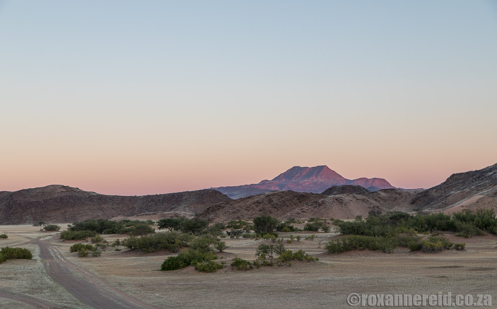 Sunset on a nature drive to see desert elephants near Twyfelfontein in Kunene, Namibia