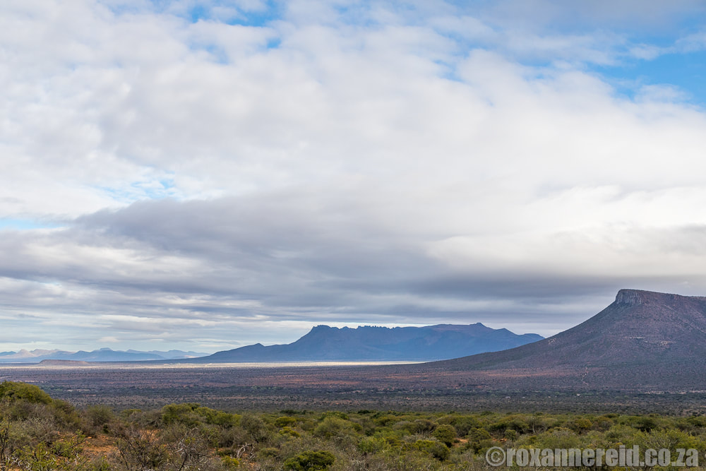 Samara Private Game Reserve, Graaff-Reinet, Eastern Cape Karoo