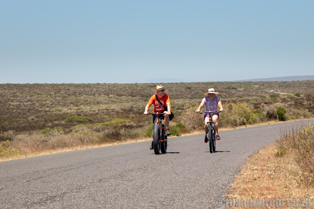 Things to do in West Coast National Park: cycling