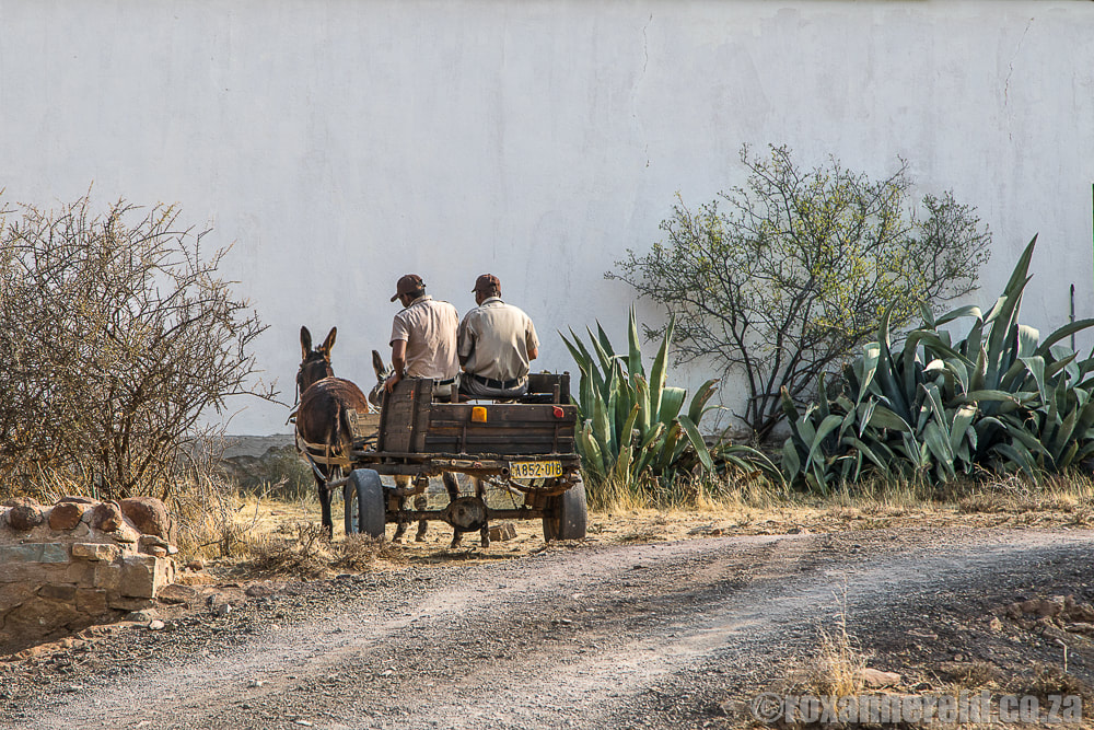 Donkey cart, BloemhofKaroo guesthouse near Richmond, Karoo