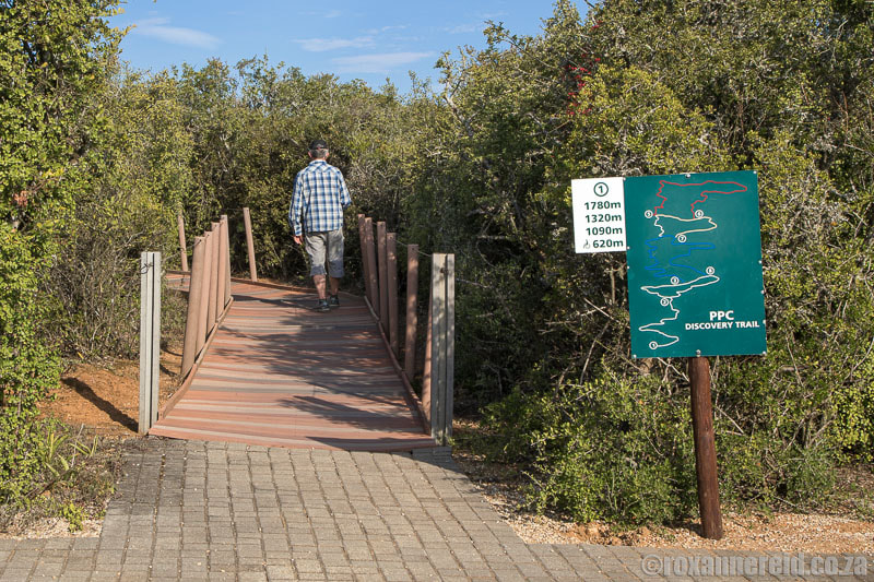 Things to do in Addo: walk the PPC Discovery Trail 