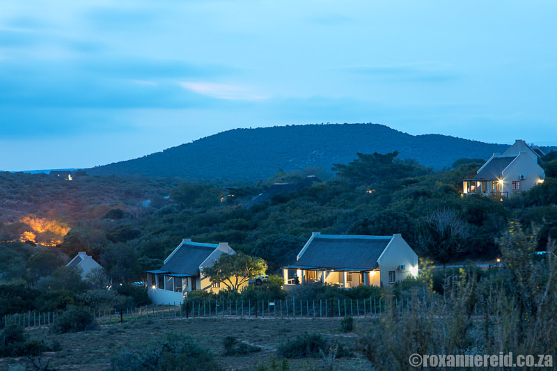 Addo accommodation: cottages at Addo Main Camp
