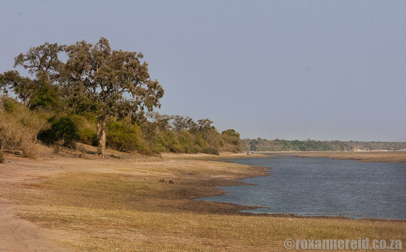 Chobe campsites: Ihaha campsite, Chobe National Park, Botswana