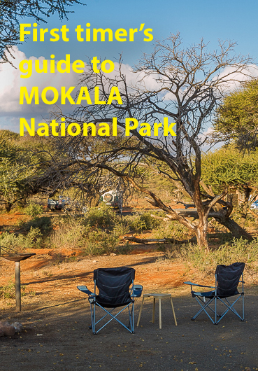 First timer's guide to Mokala National Park in #SouthAfrica #travel #nationalparks 
