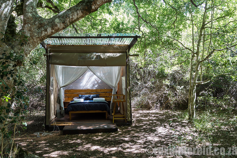Honey Bee Suite, unusual places to stay in Southern Africa