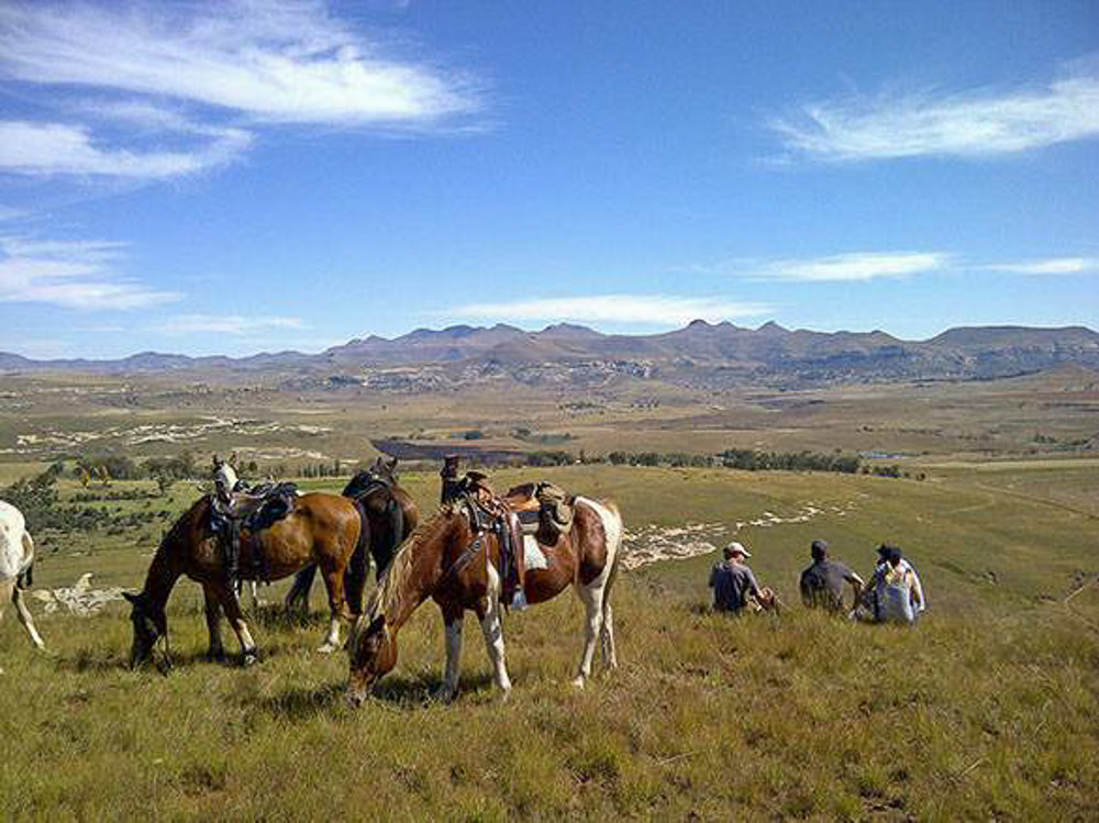 Horse riding in Clarens