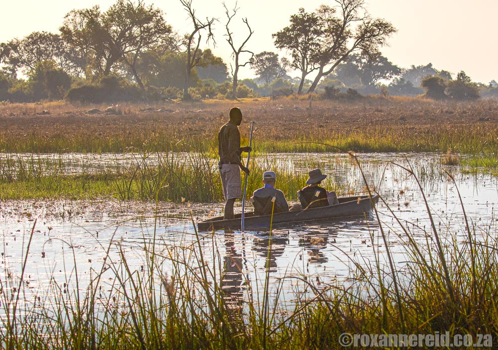Mokoro safari, Okavango