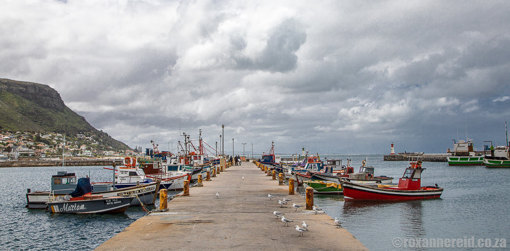 Fishing boats at Kalk Bay Harbour