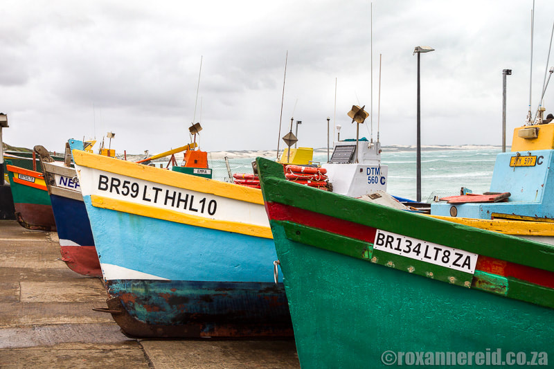 Things to do in Struisbaai: see fishing boats at Struisbaai harbour
