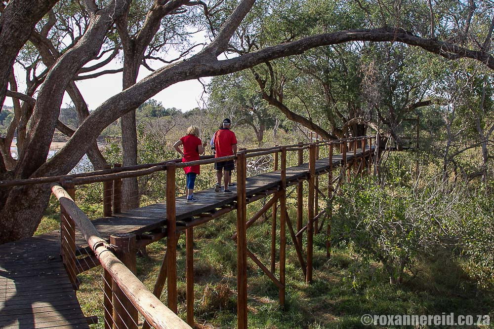 Treetop Walkway, Mapungubwe National Park