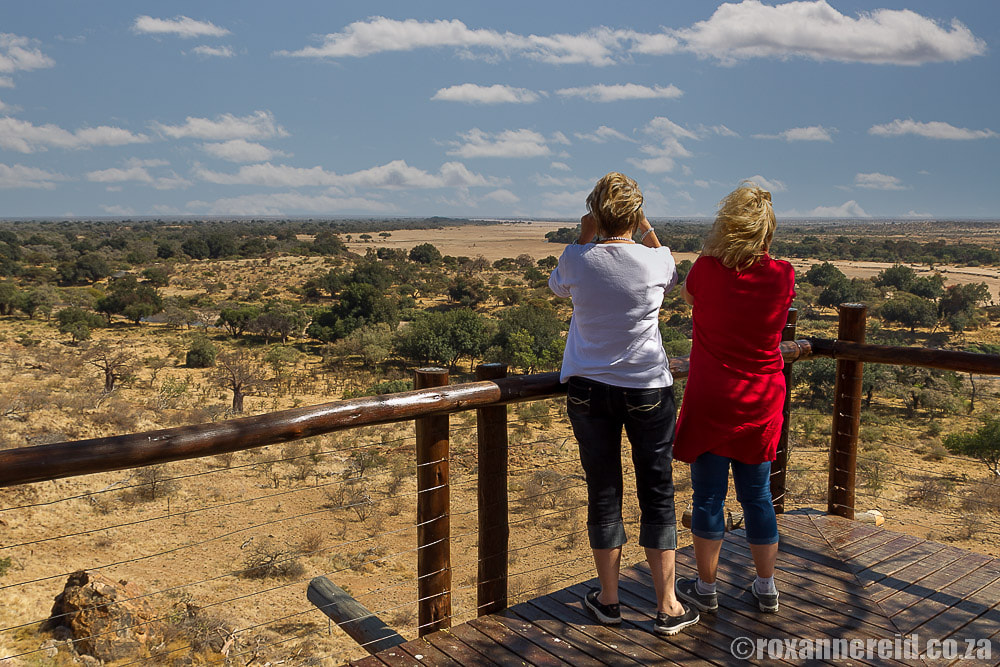 Looking out over the Limpopo River, Mapungubwe National Park, Limpopo