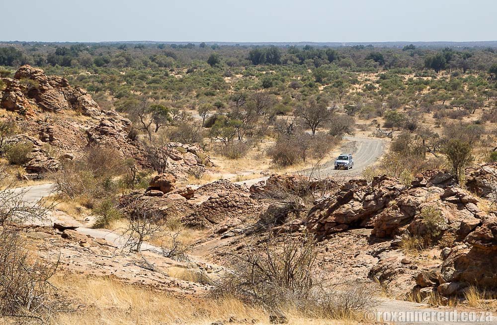 Road near Mapungubwe Hill