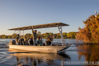 Pangolin Photo Safari, Chobe, Botswana