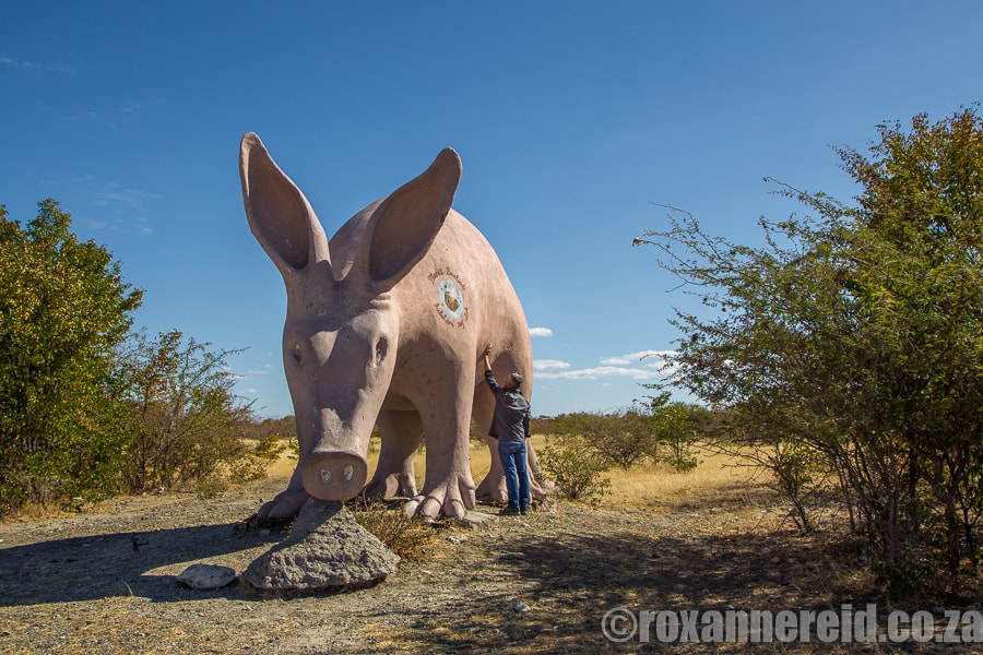 Giant cement aardvark, Planet Baobab camp, Makgadikgadi, Botswana
