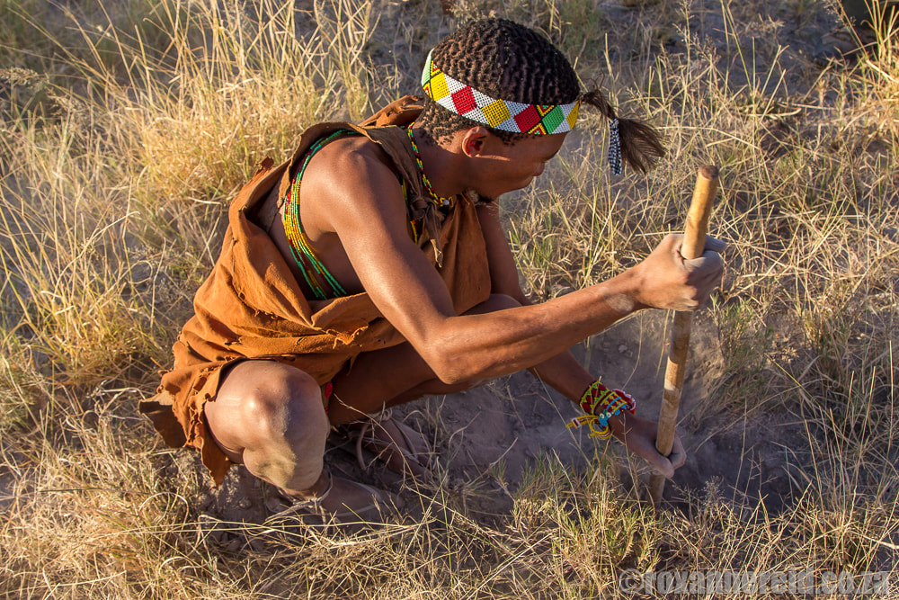 Botswana lodges cultural experience: the digging stick