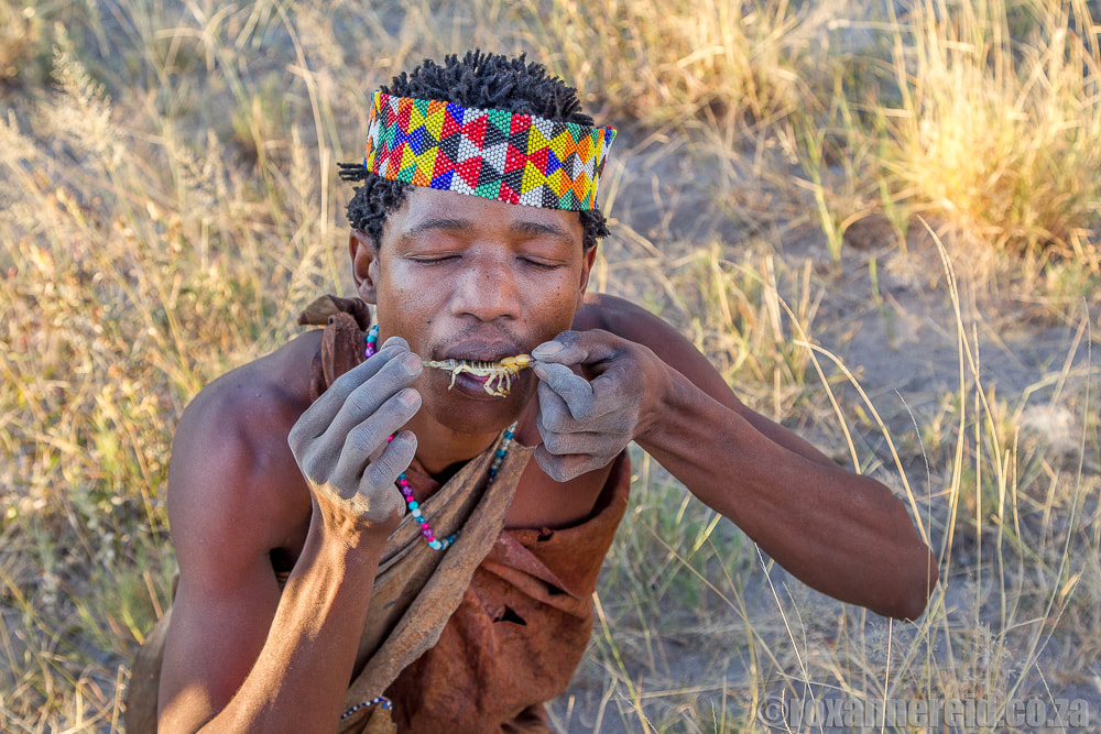 Makgadikgadi pans San experience: licking a scorpion