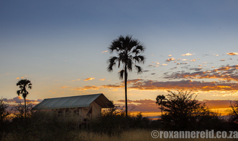 Camp Kalahari, Makgadikgadi, Botswana